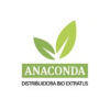 Design sem nome (8)